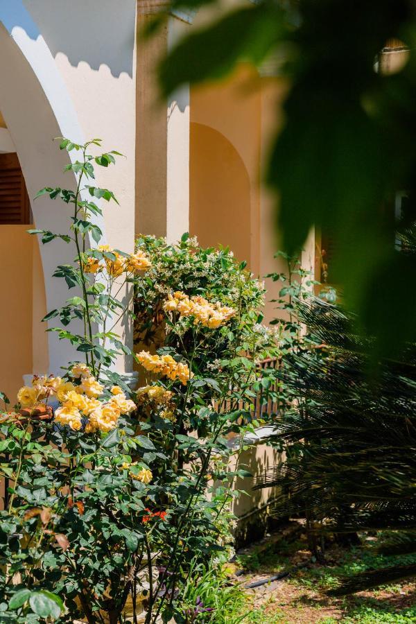Ilena Hotel Acharavi  Ngoại thất bức ảnh