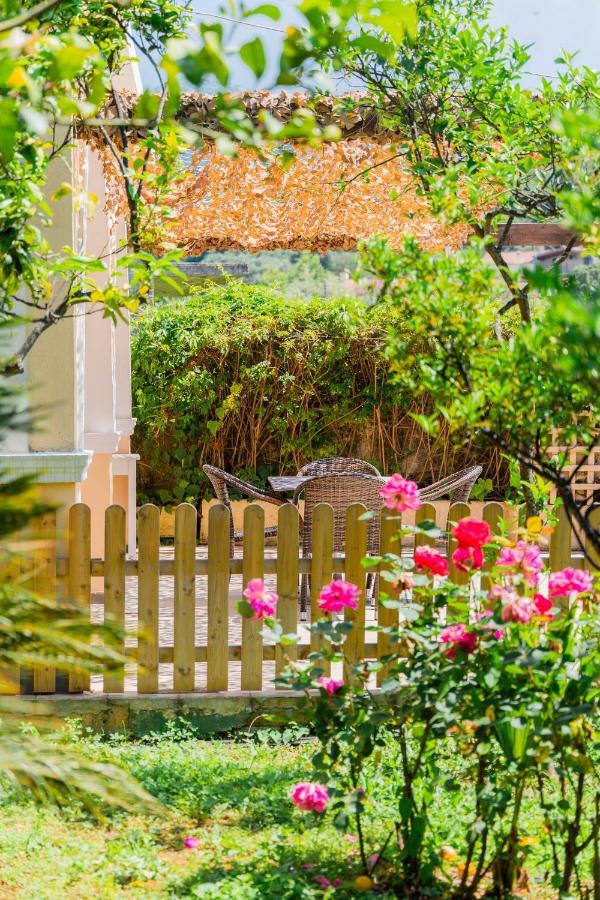Ilena Hotel Acharavi  Ngoại thất bức ảnh