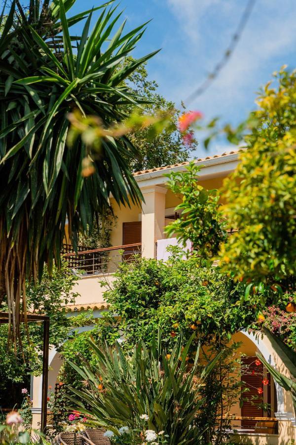 Ilena Hotel Acharavi  Ngoại thất bức ảnh
